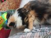 20170520_134155.thumb.jpg.05c132093af7829f02df854d41b139f2.jpg