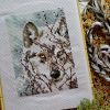 20170531_123327.jpg.860d561f926032b97efcdd9993a8c494.thumb.jpg.e7ba98f3d31e4744fdfbe0ada326c64f.jpg