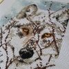 20170601_105253.jpg.d209fee4543bb2de49a35b6a075b226e.thumb.jpg.7472940f3258bb0edd3f1ebf6be8424b.jpg