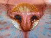 20170603_070130.thumb.jpg.b6a3ba7c4a0ecf114867c314df884cd5.jpg