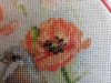 20170609_164052.thumb.jpg.e8ed01b0c0a4eb4d0bf7ed1cf713dba7.jpg