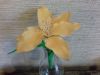 20170609_180530.thumb.jpg.a563d9abcac96fc4063f8c63507174b2.jpg