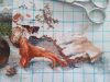 20170610_112619.thumb.jpg.e85b9ab20dc10737a9ee29173f224993.jpg