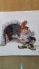 20170611_133011.thumb.jpg.8ce36b8476c23d08045a440a3722ad7a.jpg?1498459150386