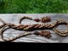 20170617_134939.thumb.jpg.7abc91ed8f51d93bbe8437ad63b363e1.jpg