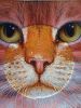 20170622_064943.thumb.jpg.9aed5571d932a1ea4e6a7283c394692c.jpg