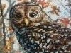 20170625_125233.thumb.jpg.8304035ae1f470d828d7a98c18117496.jpg?1498385797877