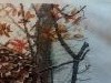 20170625_125240.thumb.jpg.10af7ea3159d67c77cd520a30c11f1bb.jpg?1498385823481