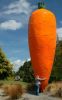 2472123_800.thumb.jpg.9764eaffbd7b29cbb9dfd66a46da3f8d.jpg