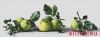 25144.thumb.jpg.37bd717fdfd173c80219f519b7eb337f.jpg