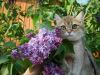 3075-dsc05997.thumb.jpg.8d4b09bc863adfdc9ed2ba1843bbc87a.jpg