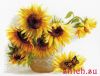 31188.thumb.jpg.6b8a1d176aa7536fb39f4cafd5da9b7f.jpg