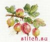 36694.thumb.jpg.592added7617332cb8ee00cb6ab94f8f.jpg