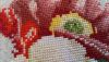 4.thumb.JPG.2f3fba9c8ff0216d3ed4b829a2e039c9.JPG