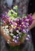 59344cdf6ec29_(111).thumb.png.aafbfbd3c0d6374d339dc1d2f967eb3e.png
