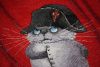 594fdd3dabc30_IMG_57351.thumb.jpg.4dc2d2ae80ac5955a259d240442f15ab.jpg