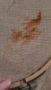 595232024a26e_WhatsAppImage2017-06-27at14_08_39.thumb.jpeg.0f5bfff56f9308fe38bbdd9678cc519e.jpeg
