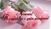 6687b.thumb.jpg.fb6d7cf6801080d342d5f00d3881cb1d.jpg
