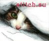 9760.thumb.jpg.c83d80c002617df71eff959f0fca2092.jpg