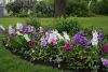 DSC00720.thumb.JPG.980fc94a51432ebd730d5fc0c75b4d50.JPG