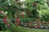 DSC00734.thumb.JPG.7d11bf0e61378d337c89a7ae8cfb386c.JPG