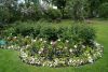 DSC00742.thumb.JPG.6da60ff56ee44e3b57153eae3c743dc7.JPG