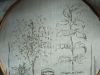 DSC02495.thumb.JPG.26b7785e37456149eccf9aa048d30567.JPG