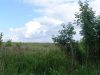 DSC03915_.thumb.jpg.7099b5652450b0f4f1c42da99897b7fa.jpg