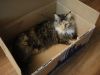 DSC07463.thumb.JPG.13a6a986dfb996dc936559a5c298dbdc.JPG