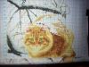 DSCN9545.thumb.JPG.342e8c3a82673cacc58d8e2844aeab3a.JPG