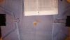 DSC_0574.thumb.JPG.4f2178b30ce2a11f56b84bf6e4fc923b.JPG
