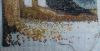 DSC_0574.thumb.JPG.f3a4cdebc968e7ac890b7f7ebf8021e8.JPG