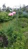 DSC_0586.thumb.JPG.2adf571ca4b0d198470b5b11345a436c.JPG