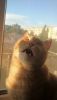 DSC_6119.thumb.JPG.3edf3a3165e1f342b607e4acacec2ea1.JPG