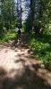 IMG-20170618-WA0067.thumb.jpg.f465b4024dd5637bbfc96a297cc08c96.jpg