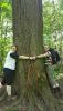 IMG-20170618-WA0070.thumb.jpg.d4faeb50a8cd1d988219e25a09ba6ac0.jpg