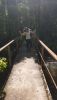IMG-20170618-WA0076.thumb.jpg.f1024d2c58345cb38159741ddb64912e.jpg