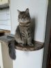 IMG-20170629-WA0013.thumb.jpg.b453fa03dda99c4c695c00e66999bf8f.jpg