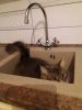 IMG-20170629-WA0019.thumb.jpg.8d6e1a213ad077c0427b12ca44f46582.jpg