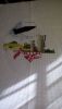 IMG_20170315_144216.thumb.jpg.e764a4e8ef4cd454194d26f2bcda194f.jpg