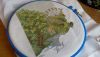 IMG_20170319_132951.thumb.jpg.3abb23c5f6a37881321924124e7f36ee.jpg