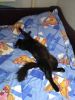 IMG_20170416_195422.thumb.jpg.e1d7a14b2972c9caf88ad52488e7d637.jpg