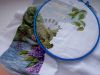 IMG_20170501_150947.thumb.jpg.873fcf378a2cc8b93eb332c4f229de23.jpg