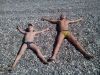 IMG_20170529_095639.thumb.jpg.db45a1419406c43d551dc81dc2b8398a.jpg