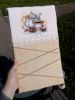 IMG_20170530_171549.thumb.jpg.890347e3a16549512d8cd1b83db14e37.jpg