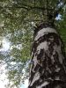 IMG_20170603_171447.thumb.jpg.8806c6d3d52e70ed6225f108c0972962.jpg