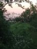IMG_20170607_205603.thumb.jpg.903f22ebf3a2087fc40bb04313ce1f94.jpg