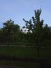 IMG_20170607_214932_HHT.thumb.jpg.ae49cdaa1aededb10f513884aa484f54.jpg