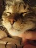 IMG_20170608_225042_HHT.thumb.jpg.b5413704b923bc25afbf78b776b9903b.jpg
