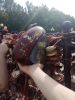 IMG_20170610_144513.thumb.jpg.660f0d3b68c1a0a9c691b8df345e5e03.jpg